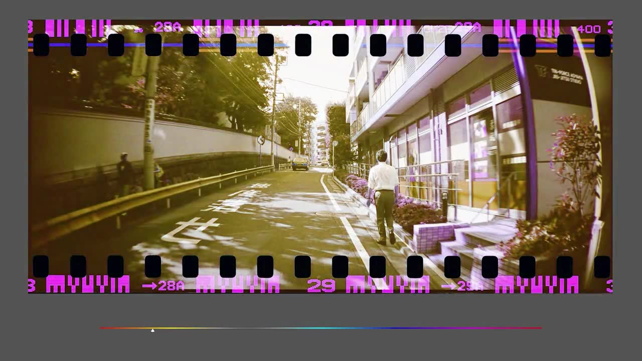 DigitaLIZA 110 スキャニングマスク – Lomography